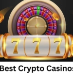 Best No KYC Casinos for Fast Virtual Dog Racing Fun