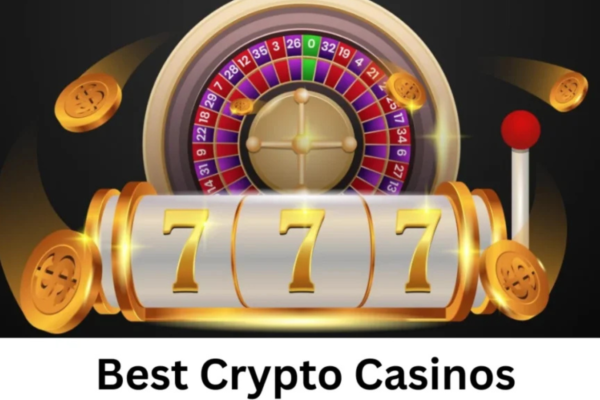Best No KYC Casinos for Fast Virtual Dog Racing Fun