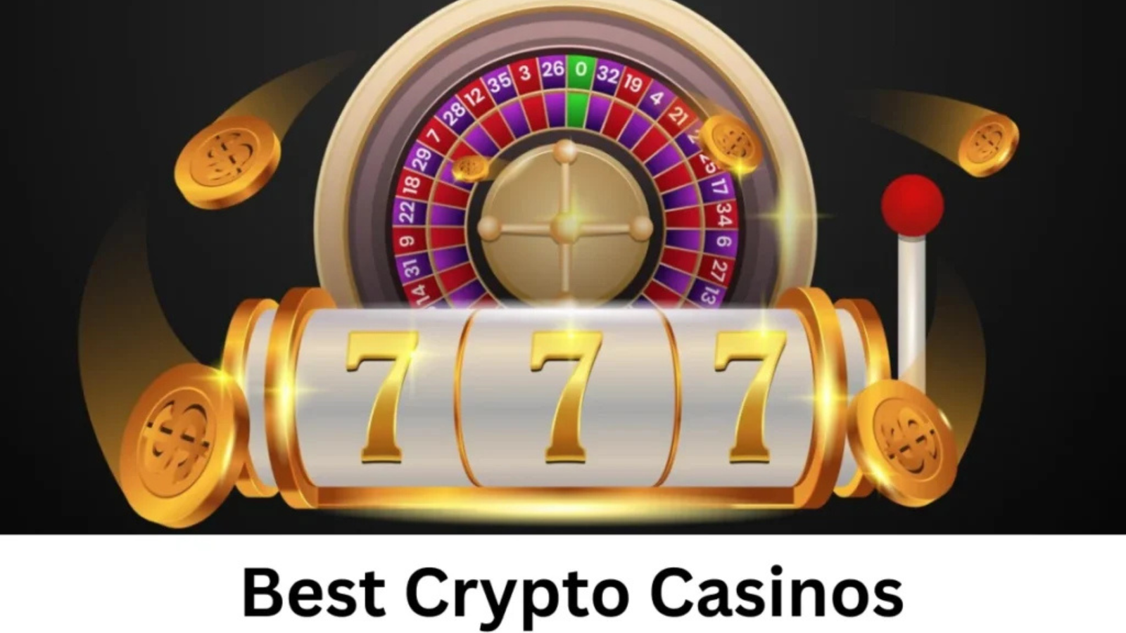 Best No KYC Casinos for Fast Virtual Dog Racing Fun